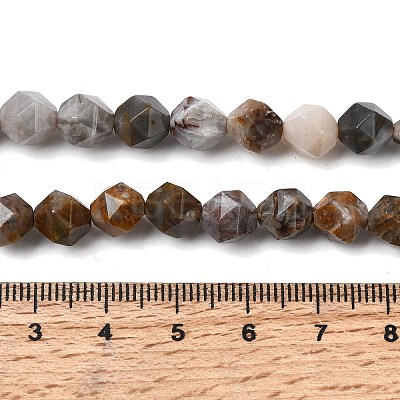 Natural Gobi Agate Beads Strands G-Z119-A36-02-1