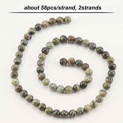 2 Strands Natural Green Zebra Jasper Beads Strands G-OC0002-74-1