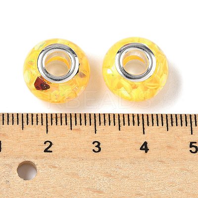 Transparent Resin Rondelle European Beads LS-RESI-S023-25-1