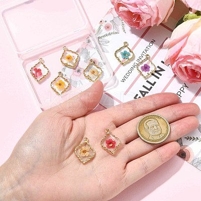 10Pcs 5 Colors Zinc Alloy Epoxy Resin Pendants FIND-CJ0004-93-1
