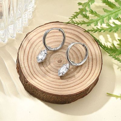 304 Stainless Steel Micro Pave Cubic Zirconia Hoop Earrings STAS-R004-04P-02-1