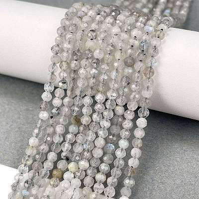 Natural Labradorite Beads Strands LS-G-I341-11A-1