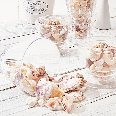 Mixed Shell Beads BSHE-PH0003-20-1