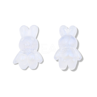 Transparent Acrylic Beads OACR-N008-172F-1