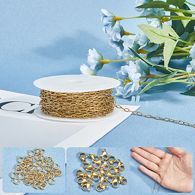 10M Ion Plating(IP) 304 Stainless Steel Paperclip Chains wih 50Pcs Open Jump Rings with 20Pcs  Lobster Claw Clasps FIND-SC0012-56A-1