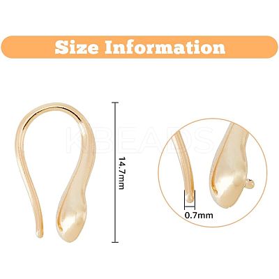 10 Pairs 2 Colors Rack Plating Brass Earring Hooks EJEW-FH0001-05-1
