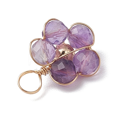 Natural Amazonite & Apatite & Rose Quartz & Amethyst & Red Agate Faceted Round Beaded Pendants PALLOY-JF03606-01-1