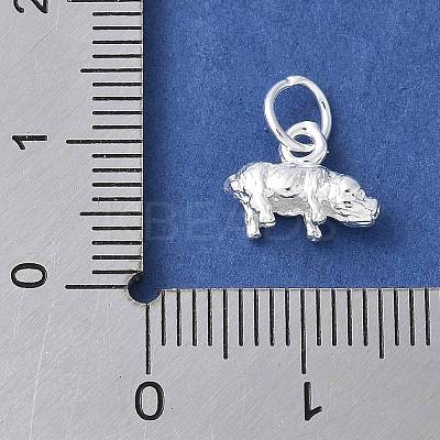 925 Sterling Silver 3D Chinese Zodiac Charms STER-P066-01S-12-1
