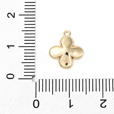 Brass Pave Clear Cubic Zirconia Charms KK-V016-20G-1