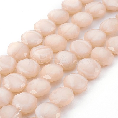 Pearl Luster Plated Glass Bead Strands EGLA-E036-PL01-1