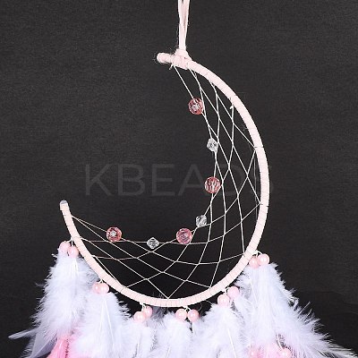 Iron Woven Web/Net with Feather Pendant Decorations LS-AJEW-P097-02-1