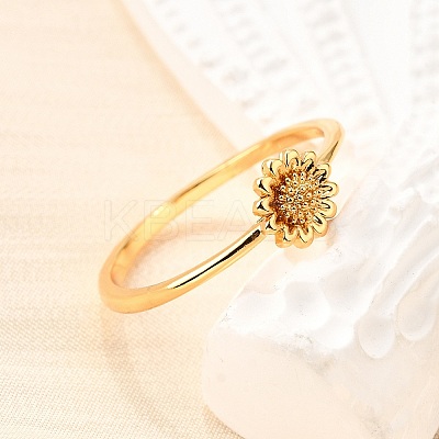304 Stainless Steel Finger Rings for Women LS-RJEW-D308-02G-1