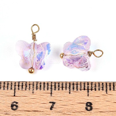 Electroplate Glass Butterfly Charms STAS-N110-12G-1