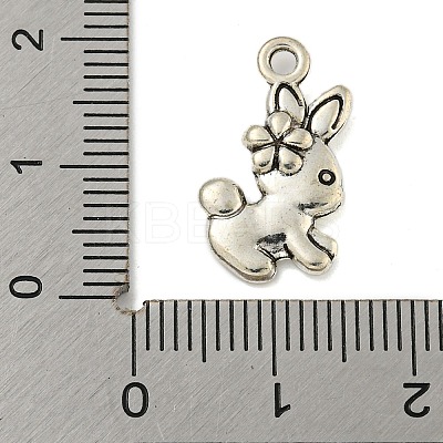 Tibetan style Alloy Pendants FIND-Z058-01AS-04-1