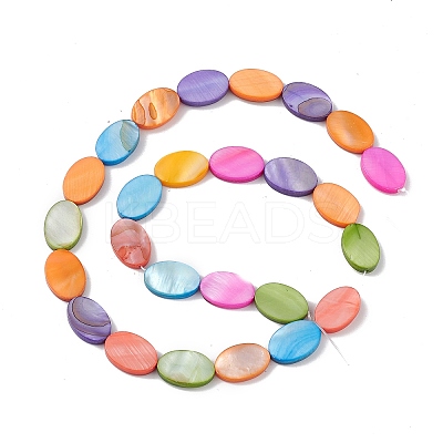10 Strands Colorful Natural Freshwater Shell Dyed Beads Strands SHEL-M018-04-1