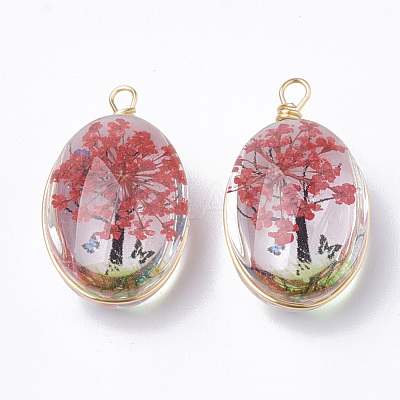 Glass Pendants X-GLAA-Q070-004-1