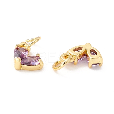 Rack Plating Brass Cubic Zirconia Charms KK-I684-04G-02-RS-1