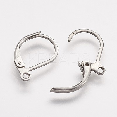 Tarnish Resistant 316 Surgical Stainless Steel Leverback Earring Findings LS-X-STAS-P113-01-1