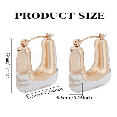 1 Pair Alloy with Resin Hoop Earrings for Women EJEW-LP0004-71B-1