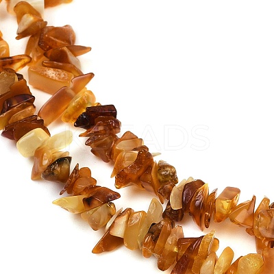 Natural Amber Chip Beads Strands X-G-E271-81-01-1