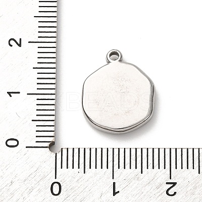 304 Stainless Steel Pendants LS-STAS-I348-02P-01-1