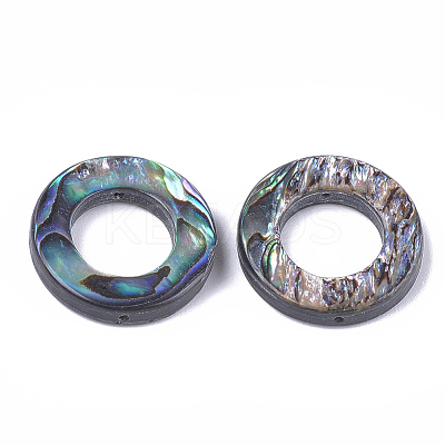 Abalone Shell/Paua Shell Bead Frames SSHEL-T008-17-1