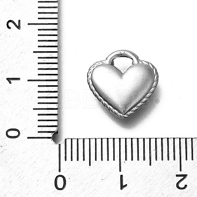304 Stainless Steel Charms STAS-D288-04P-1