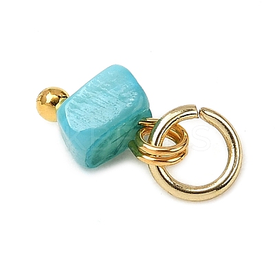 Dyed Natural Freshwater Shell Nuggets Charms PALLOY-JF04375-01-1
