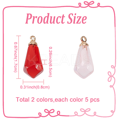 10Pcs 2 Colors Transparent Resin Pendants RESI-FP0001-40-1