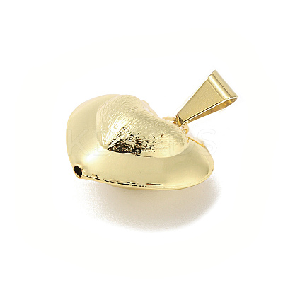 Rack Plating Brass Pendants KK-F869-02G-02-1