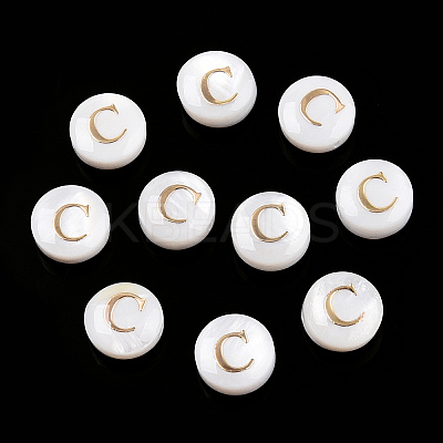 Natural Freshwater Shell Beads SHEL-N036-01C-1