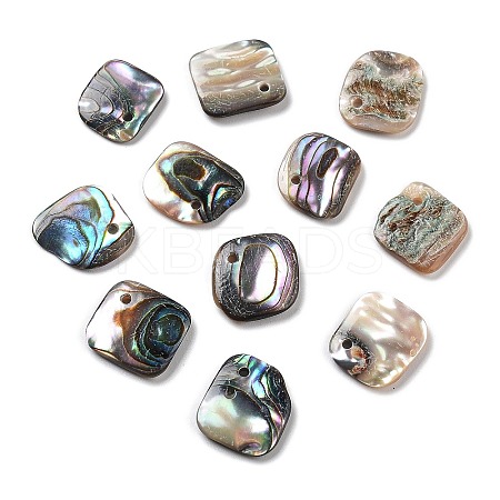 Natural Paua Shell Pendants SSHEL-D084-10A-1