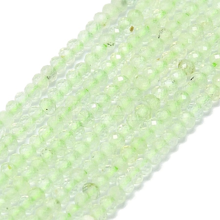 Natural Prehnite Beads Strands G-G106-A26-01-1