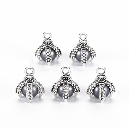 Tibetan Style Alloy Charms PALLOY-S120-249F-RS-1