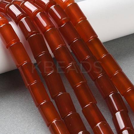 Natural Agate(Dyed & Heated) Beads Strands G-M446-C01-01-1