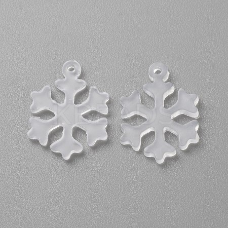 Transparent Resin Pendants FIND-WH20018-03F-1
