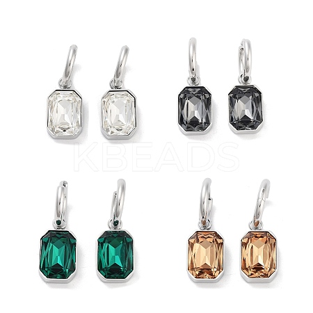 304 Stainless Steel Hoop Earring EJEW-C017-06P-1