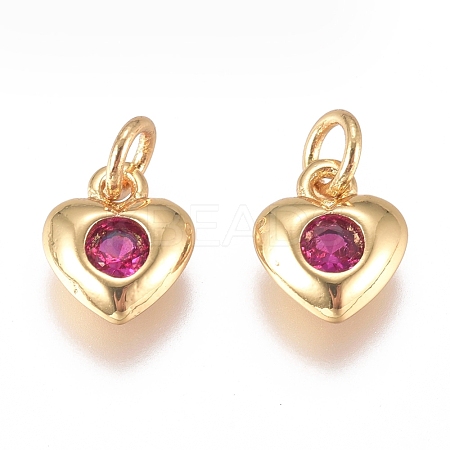 Brass Micro Pave Cubic Zirconia Charms ZIRC-G168-58G-02-1
