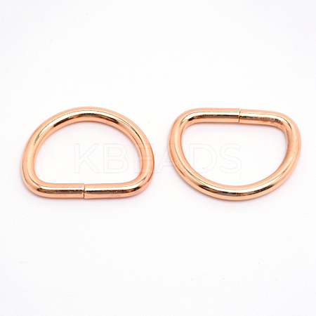 Iron D Rings IFIN-WH0061-03E-LG-1
