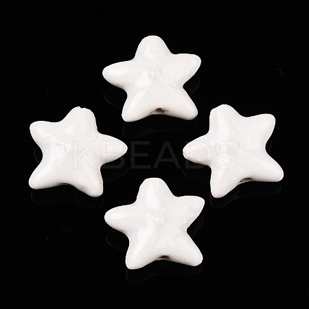 Handmade Porcelain Beads PORC-N008-03F-1