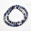 Natural Sodalite Beads Strands G-J364-01-8mm-2