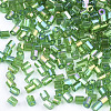 Grade A Glass Seed Beads SEED-S022-05G-2