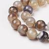 Natural Dyed Agate Beads Necklaces NJEW-F139-6mm-15-2