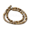 Natural Fossil Coral Beads Strands G-A280-A08-01-3