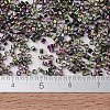 MIYUKI Delica Beads SEED-X0054-DB2205-4
