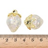 Transparent Acrylic Pendants LS-OACR-I021-02C-3