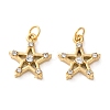 Ion Plating(IP) 304 Stainless Steel Rhinestone Pendants STAS-Q333-10G-01-1