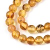 Natural Amber Beads Strands G-K387-D02-03-3