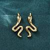 Snake Brass Micro Pave Cubic Zirconia Dangle Earrings EJEW-G425-04G-02-2