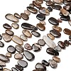Natural Petrified Wood Beads Strands G-C253-06-2